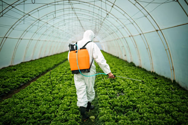 Best Residential Pest Control  in New Market, TN