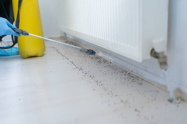 Best Best Pest Control Companies  in New Market, TN